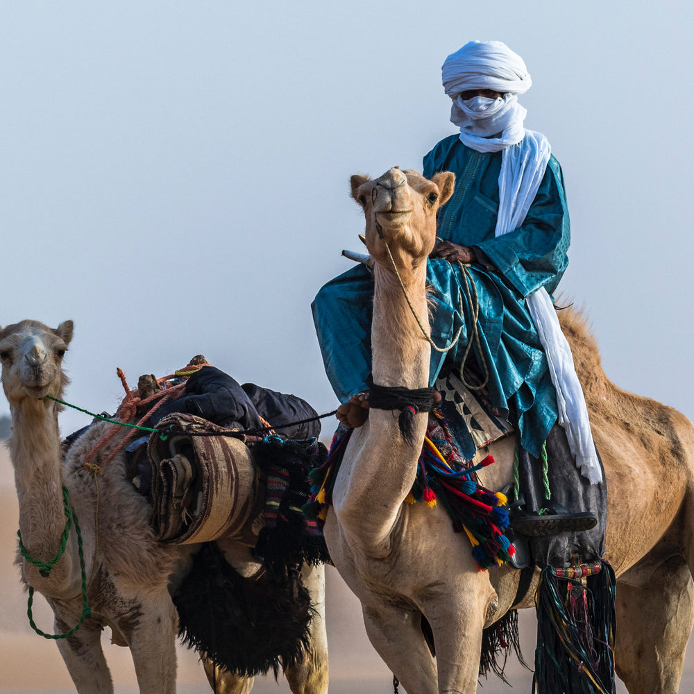 Les Touaregs